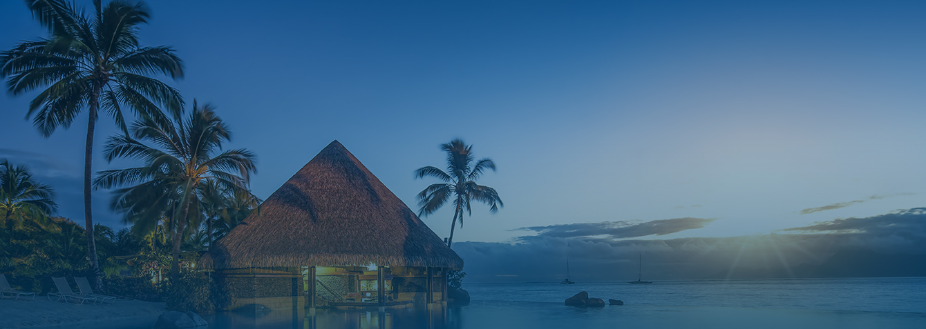 banner img1