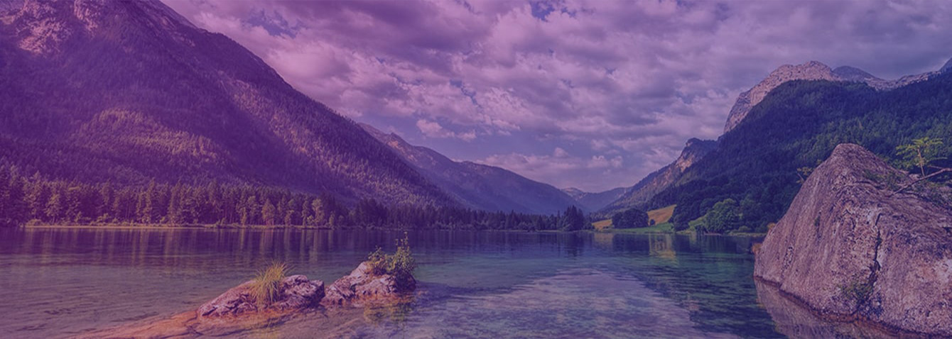 banner img3
